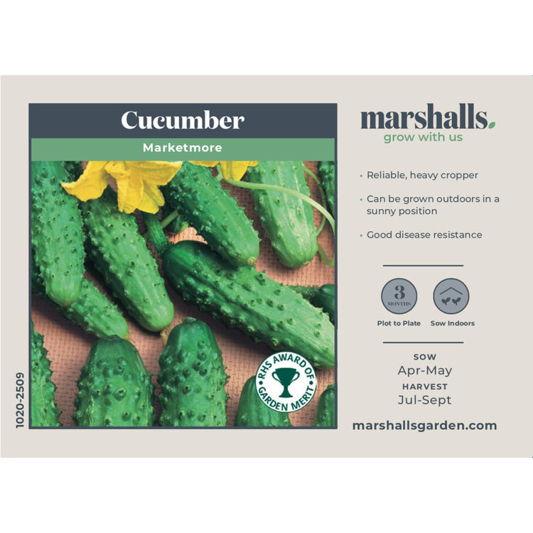 Cucumber Seeds 'Marketmore'