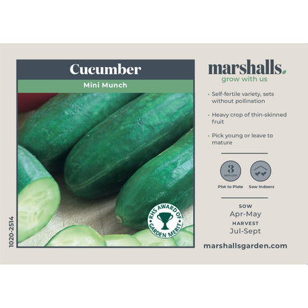 Cucumber Seeds 'Mini Munch' F1
