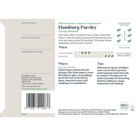 Parsley Seeds Hamburg 'Turnip Rooted'