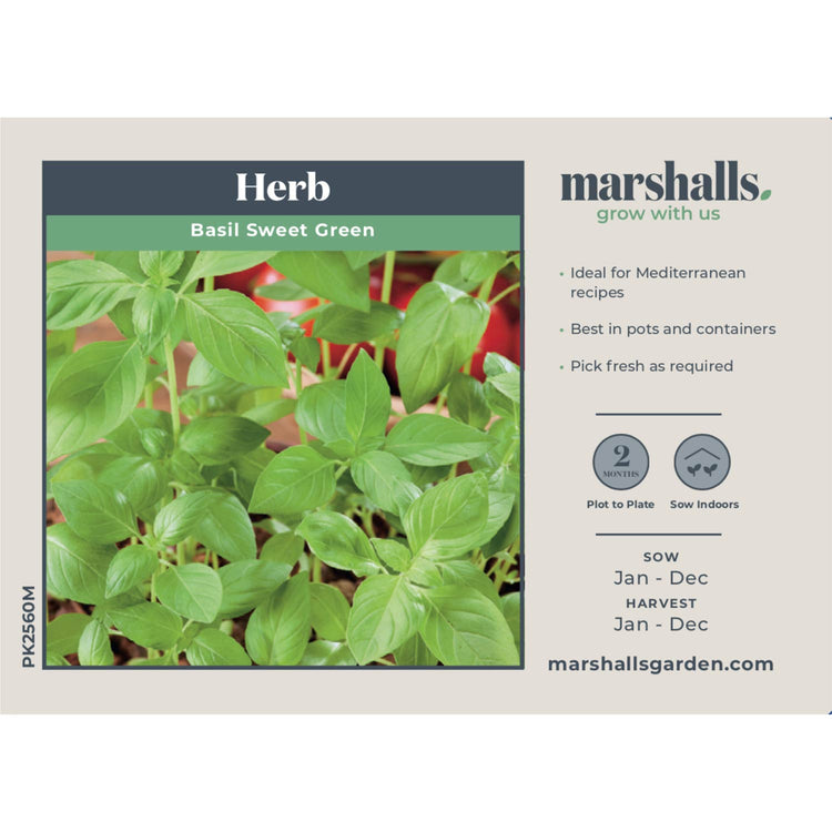 Basil Seeds 'Sweet Green'