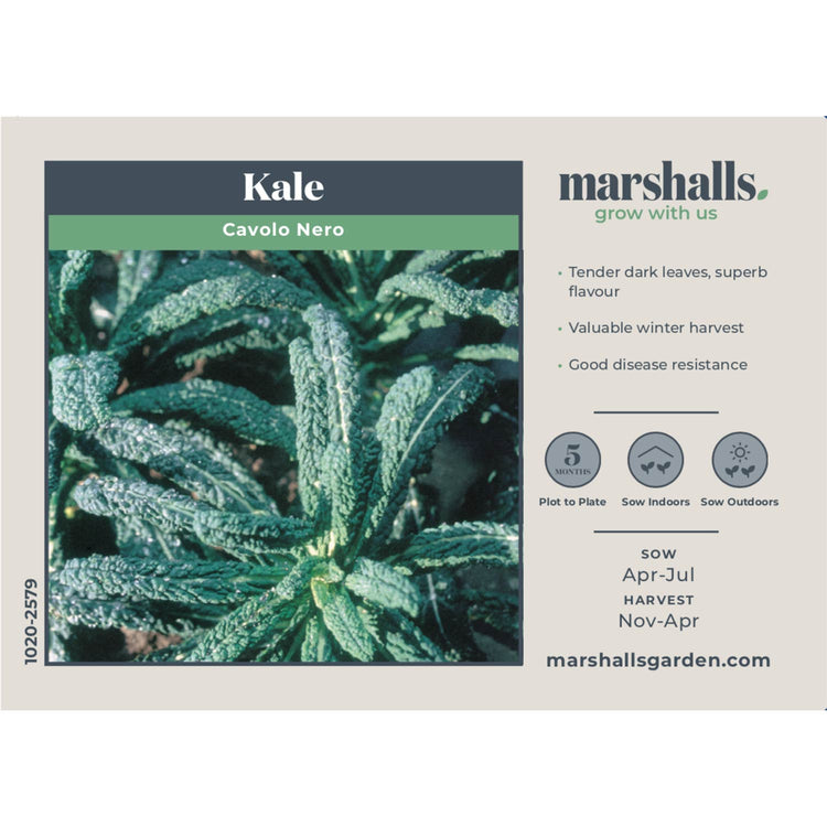 Kale Seeds 'Cavolo Nero'