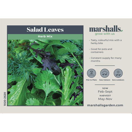 Salad Seeds 'Herb Mix'