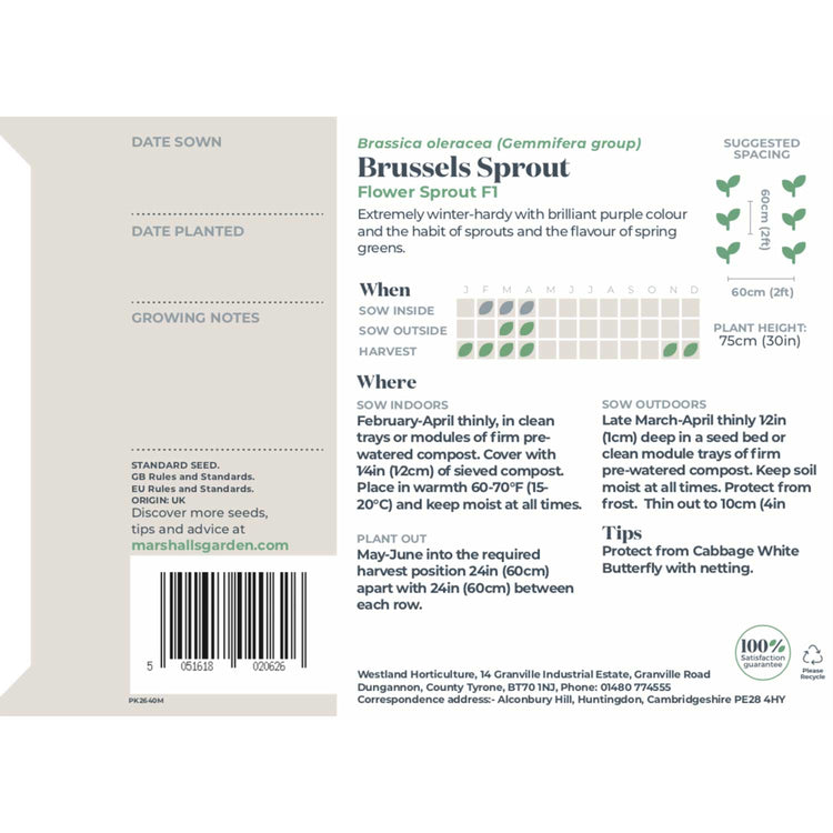 Brussel Sprout Seeds 'Flower Sprout' F1 Hybrid
