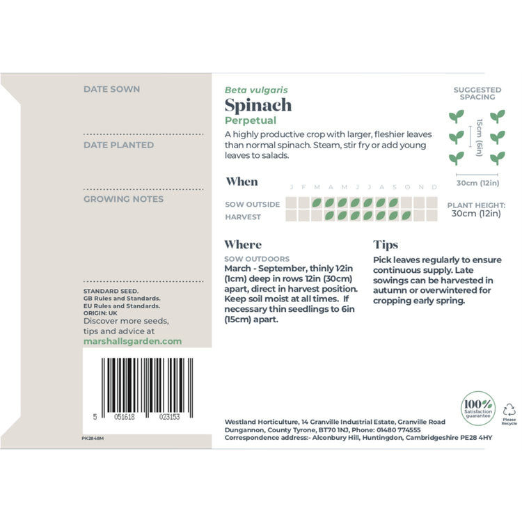 Perpetual Spinach Seeds