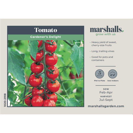 Cordon Tomato Seeds 'Gardener's Delight'