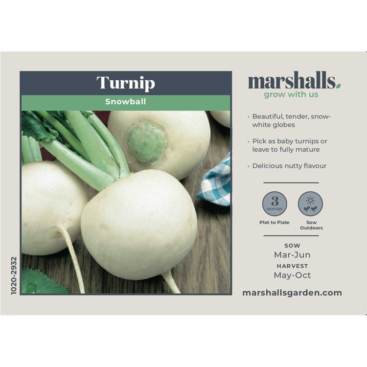 Turnip Seeds 'Snowball'