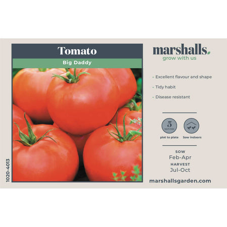Tomato Seeds 'Big Daddy'