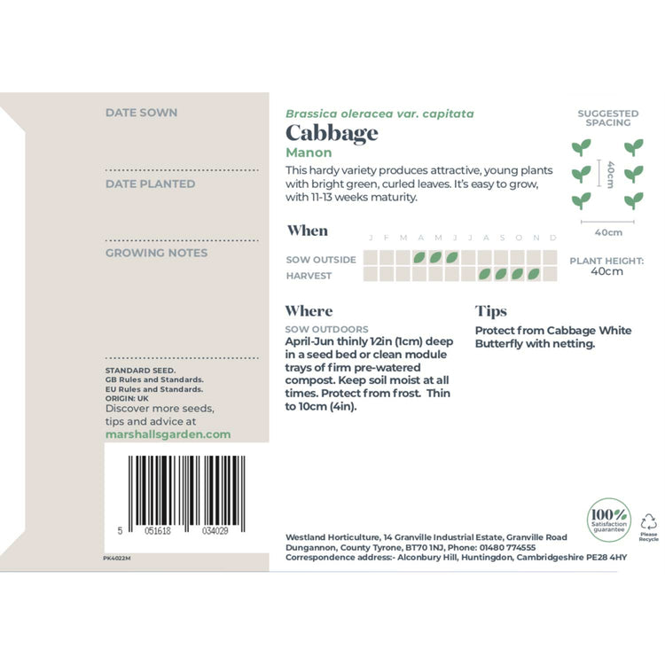 Cabbage Seeds 'Manon' F1