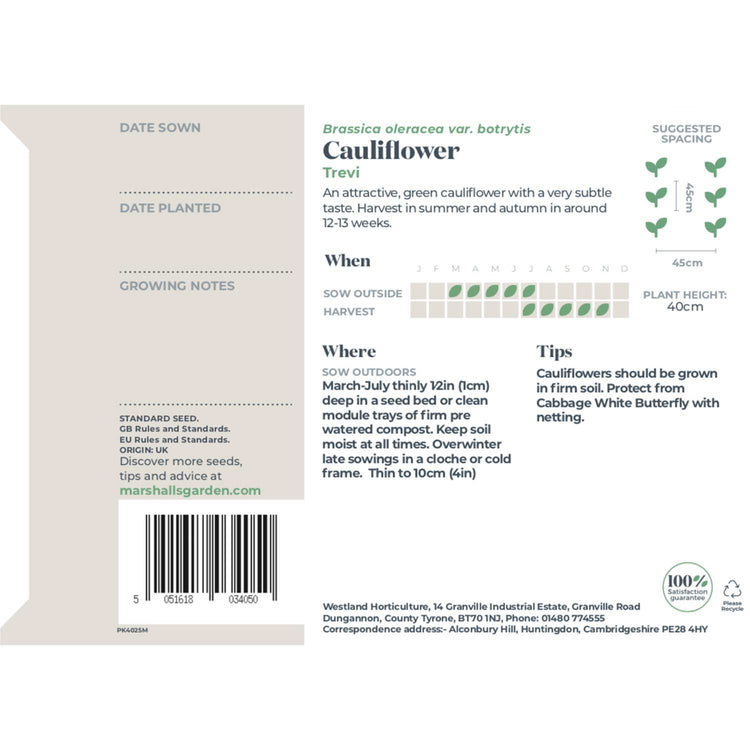 Cauliflower Seeds 'Trevi' F1