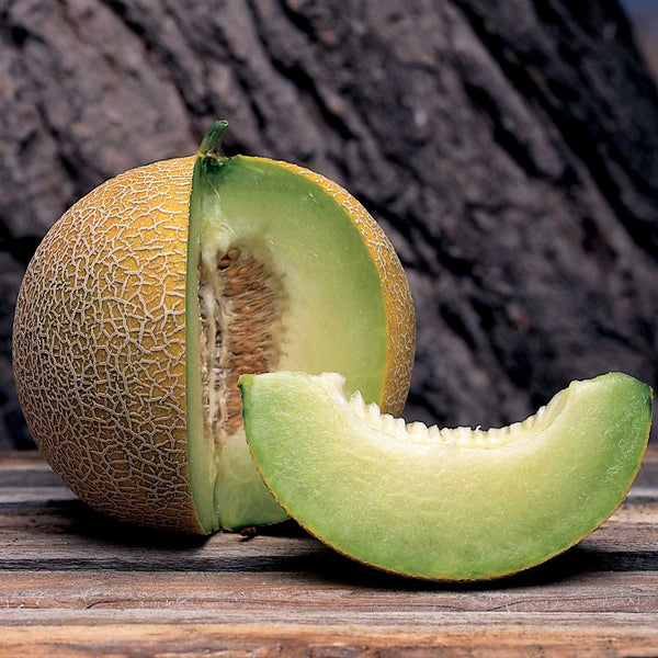 Melon Seeds 'Masada'