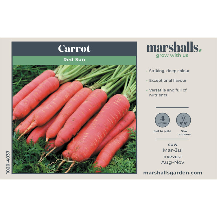 Carrot Seeds 'Red Sun'