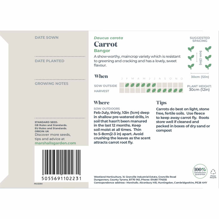 Carrot Seeds 'Bangor'