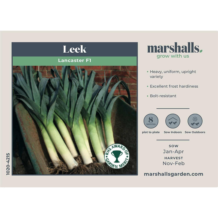 Leek Seeds 'Lancaster' F1
