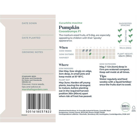 Pumpkin Seeds 'Goosebumps' F1