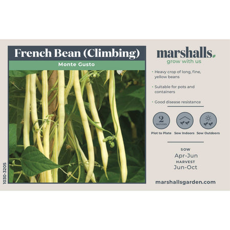 French Bean Climbing Seeds 'Monte Gusto'