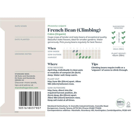 French Bean Climbing Seeds 'Cobra' Organic