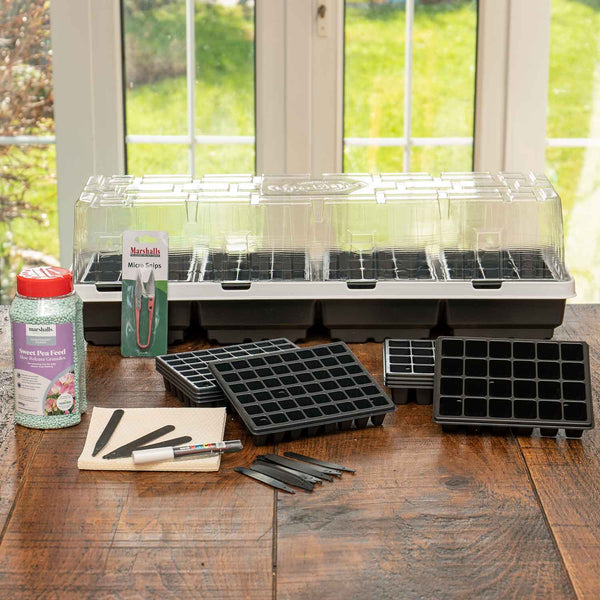 Sweet Pea Propagator Kit