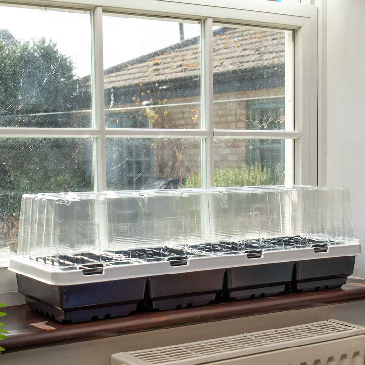 Sweet Pea Propagator Kit