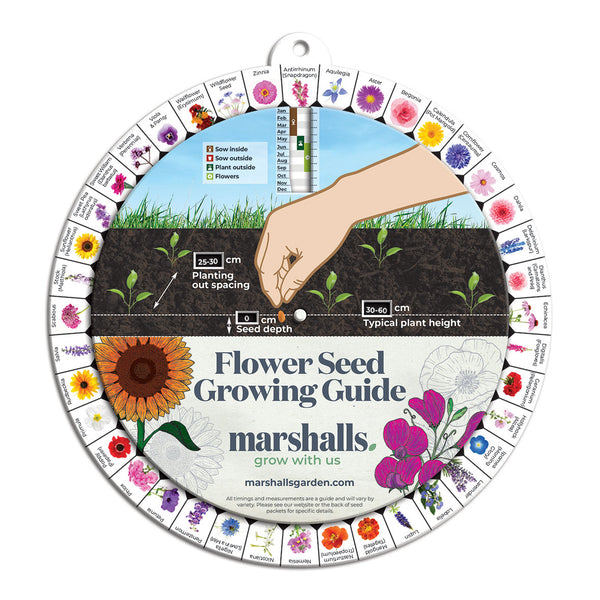 Marshalls Flower Seed Guide Wheel