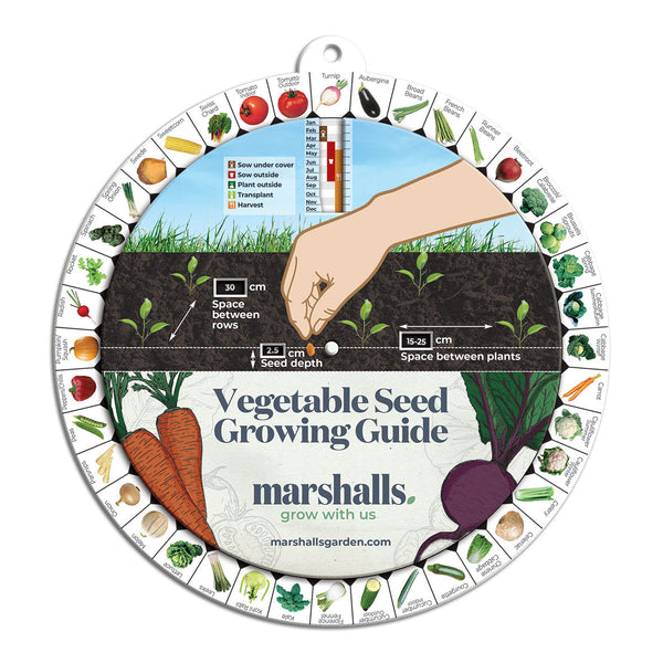 Marshalls Vegetable Seed Guide Wheel