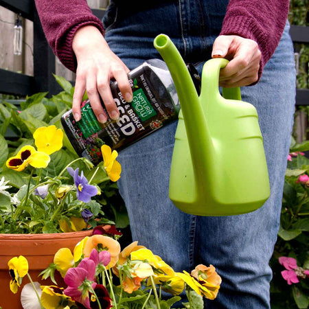 Natura Grow Bed & Basket Liquid