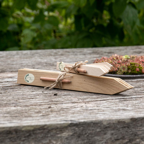 Wooden Plant Pencil Labels Set - 30cm