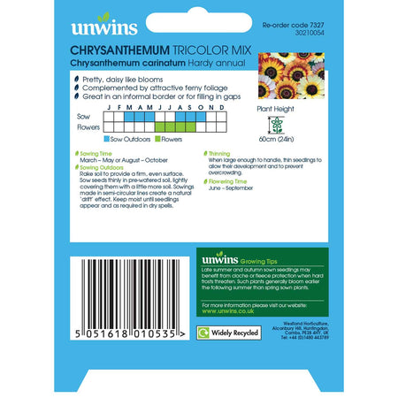 Chrysanthemum Seeds 'Tricolour Mix'