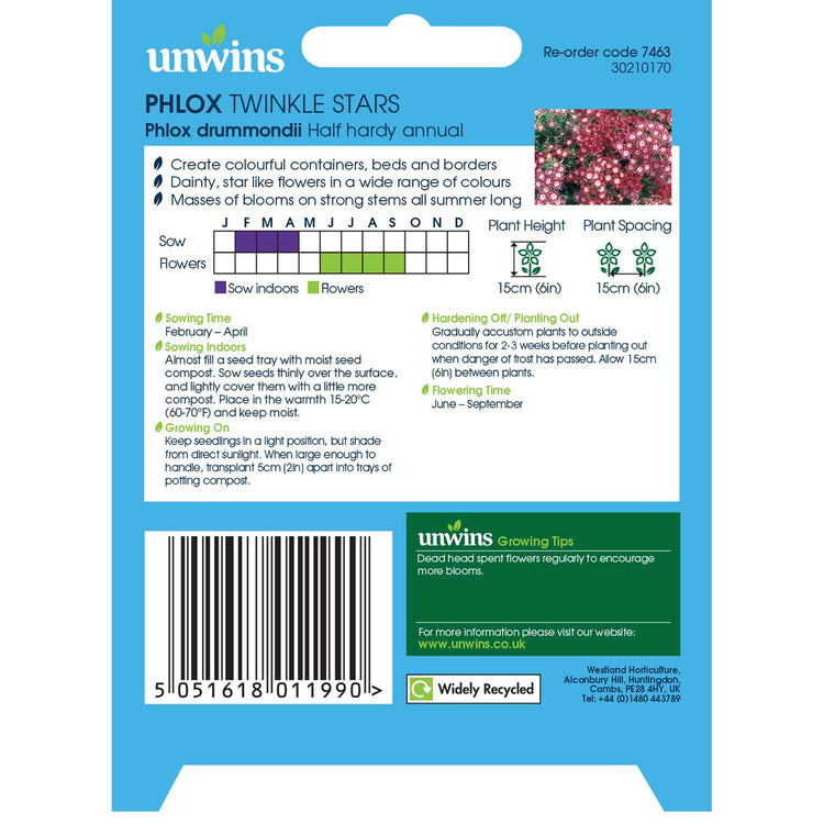 Phlox Seeds 'Twinkle Stars'