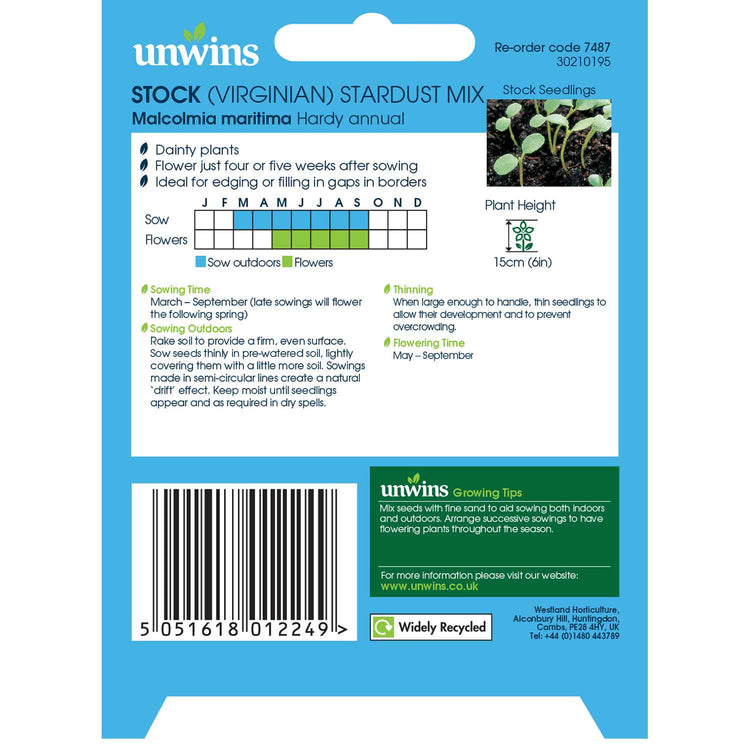 Stocks Seeds 'Virginia Stardust Mix'