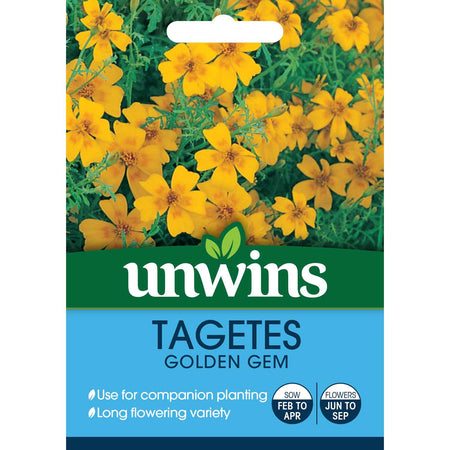 Tagetes Tenuifolia Seeds 'Golden Gem'