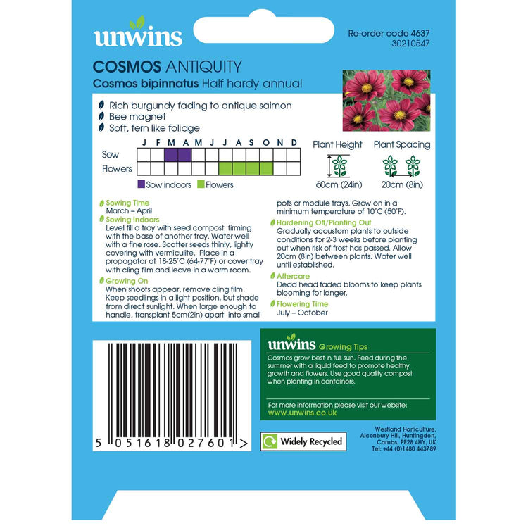 Cosmos Seeds 'Antiquity'