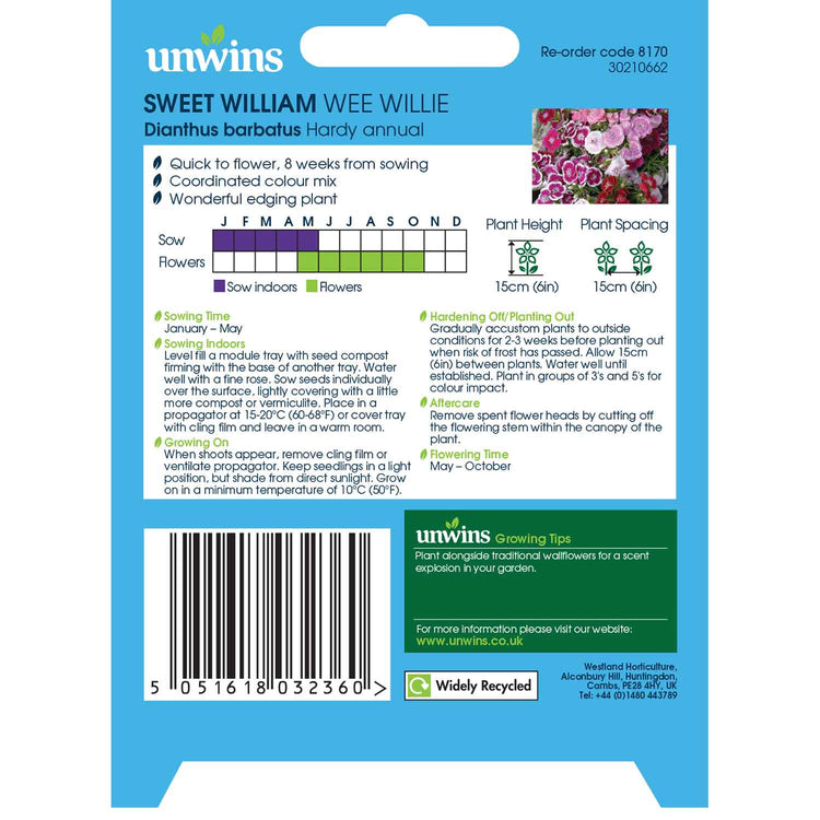 Sweet William Seeds 'Wee Willie'