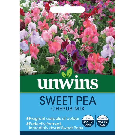 Sweet Pea Seeds 'Cherub Mix'