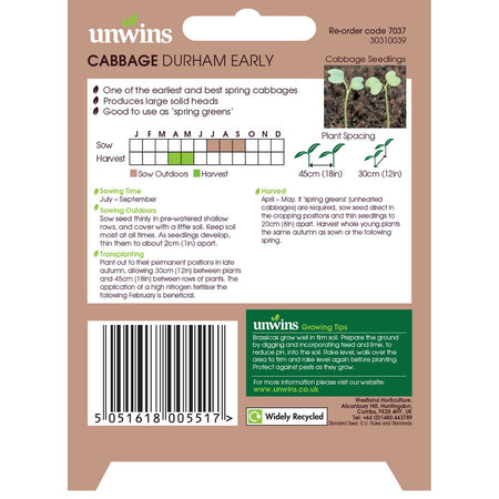 Cabbage Seeds 'Durham Early'