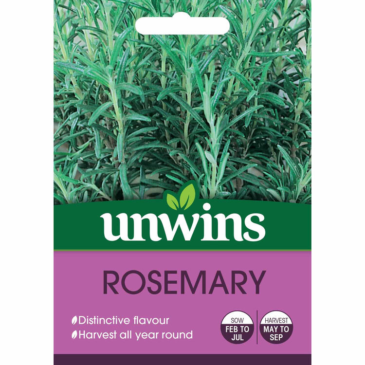 Rosemary Seeds