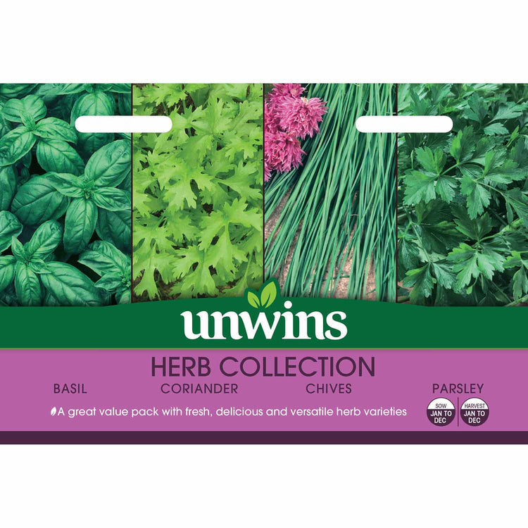 Herb Seeds Collection