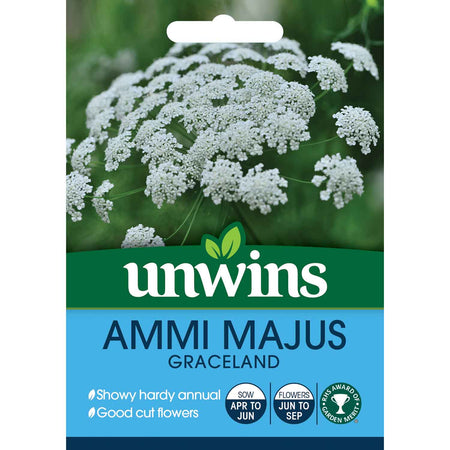 Ammi Majus Seeds 'Graceland'