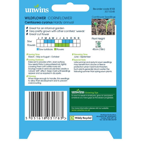 Wildflower Seeds 'Cornflower'