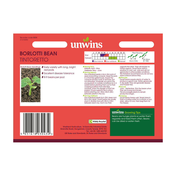 Dwarf French Bean Seeds 'Tintoretti'