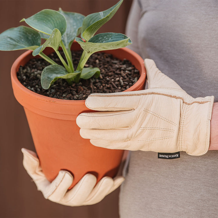 Kent & Stowe Luxury Leather Water Resistant Gloves